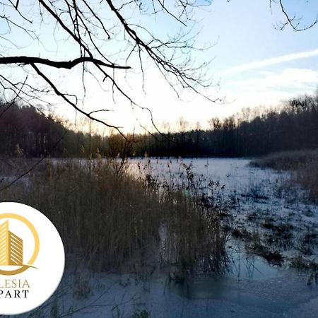 Apartament Granatowy Tychy Eksteriør bilde